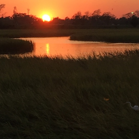 Meet your Posher, Angie - Picture 1 of 3